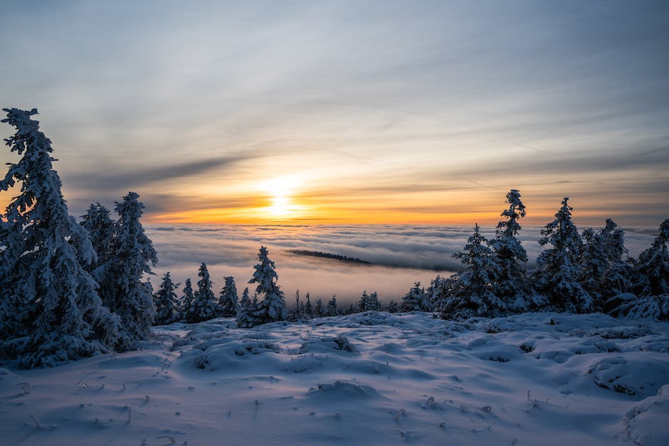 Eis im Gefrierfach bilden - die Gründe dafür erklärt