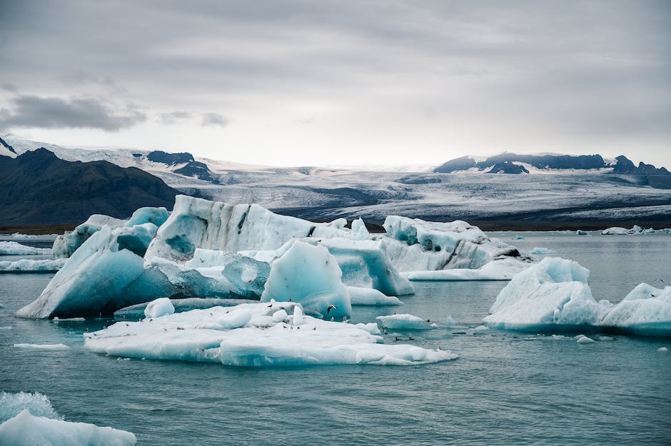  Warum Eisbindung Pinguine vor dem Erfrieren schützt