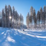 Warum frieren Pinguine nicht am Eis fest? Antworten auf die Eiszeit-Frage.